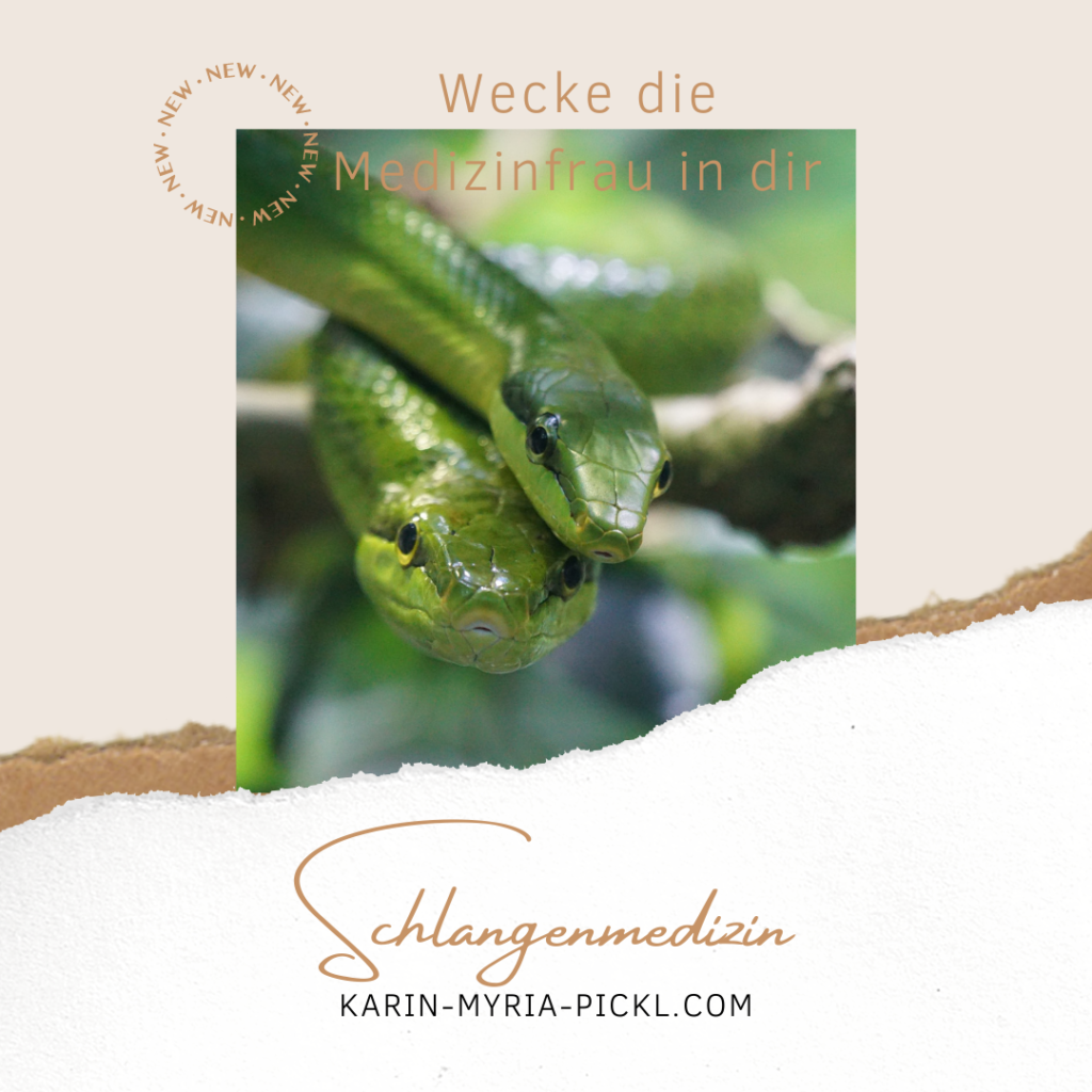 Krafttier Schlange und die Haut der neuen Zeit